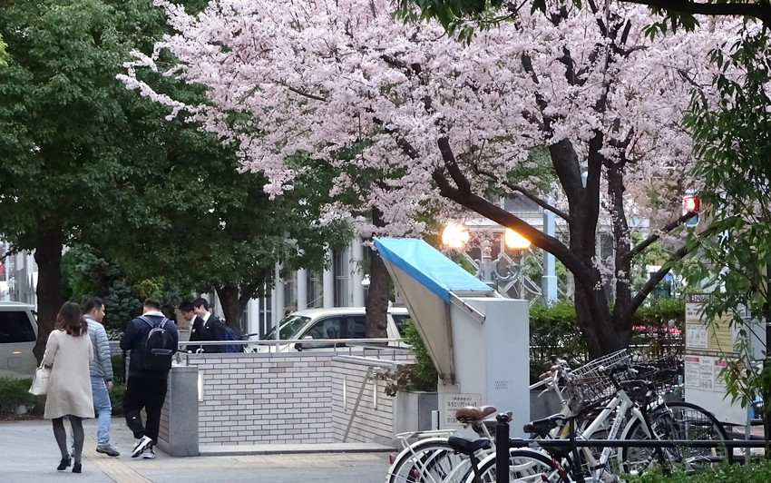 f:id:shioshiohida:20190316164834j:plain f:id:shioshiohida:20190316164834j:plain