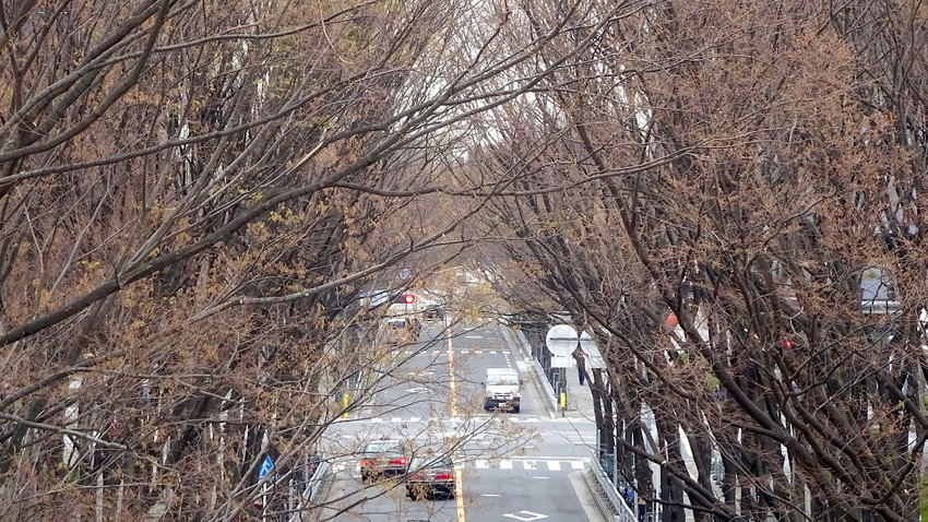 f:id:shioshiohida:20190328134334j:plain f:id:shioshiohida:20190328134334j:plain