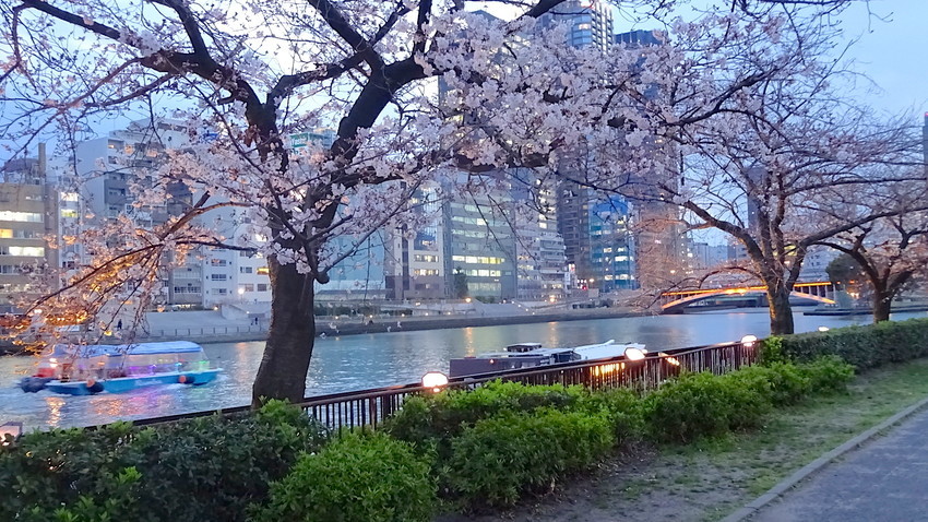 f:id:shioshiohida:20190328182405j:plain f:id:shioshiohida:20190328182405j:plain