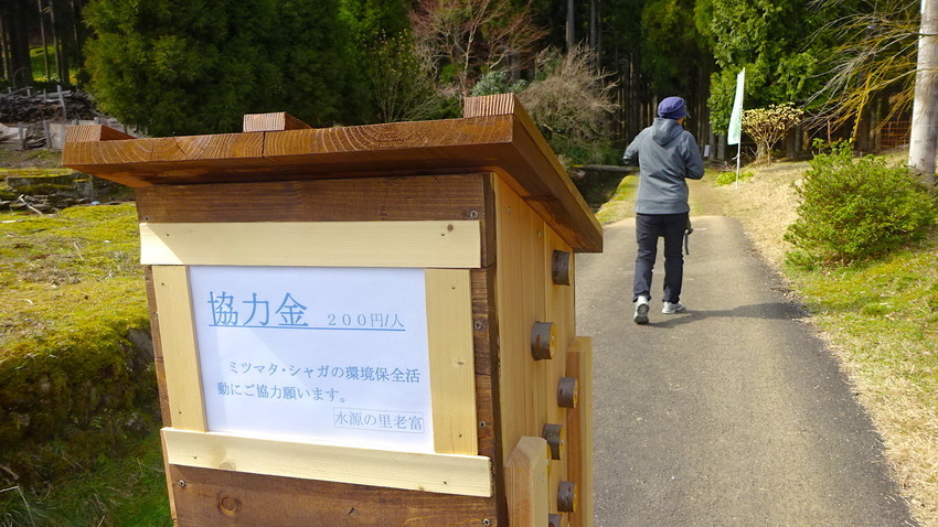 f:id:shioshiohida:20190329142935j:plain