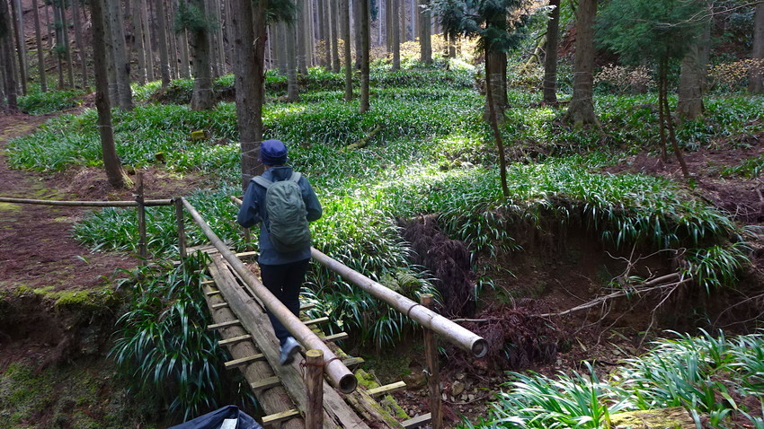 f:id:shioshiohida:20190329143208j:plain