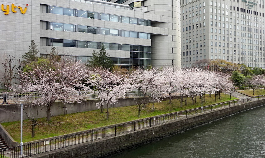 f:id:shioshiohida:20190402161225j:plain f:id:shioshiohida:20190402161225j:plain