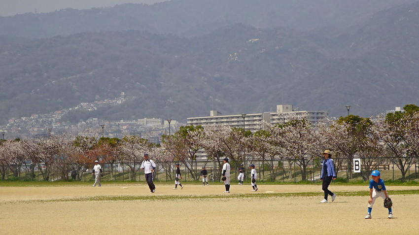 f:id:shioshiohida:20190407114017j:plain f:id:shioshiohida:20190407114017j:plain