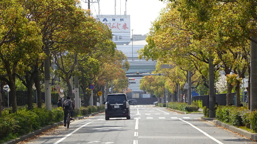 f:id:shioshiohida:20190407114047j:plain f:id:shioshiohida:20190407114047j:plain