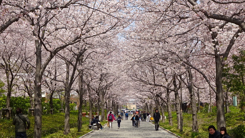 f:id:shioshiohida:20190407115141j:plain f:id:shioshiohida:20190407115141j:plain