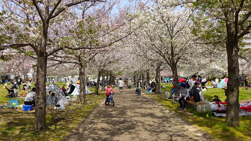 f:id:shioshiohida:20190407115416j:plain f:id:shioshiohida:20190407115416j:plain