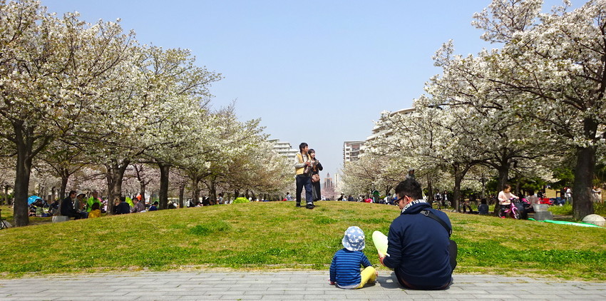 f:id:shioshiohida:20190407115551j:plain f:id:shioshiohida:20190407115551j:plain