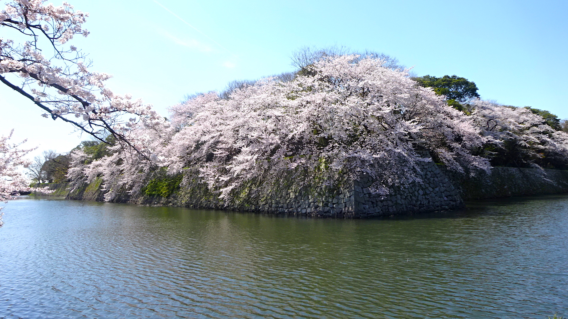 https://cdn-ak.f.st-hatena.com/images/fotolife/s/shioshiohida/20190409/20190409123350_original.jpg