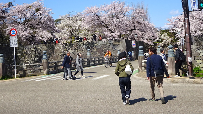 f:id:shioshiohida:20190409135047j:plain