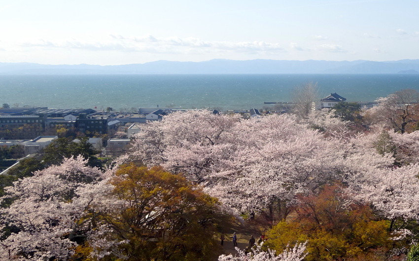 f:id:shioshiohida:20190409153228j:plain