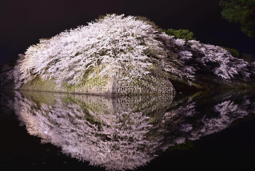 f:id:shioshiohida:20190410131851j:plain