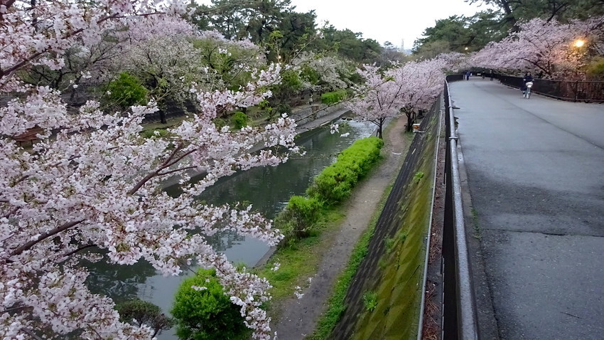 f:id:shioshiohida:20190410181339j:plain f:id:shioshiohida:20190410181339j:plain