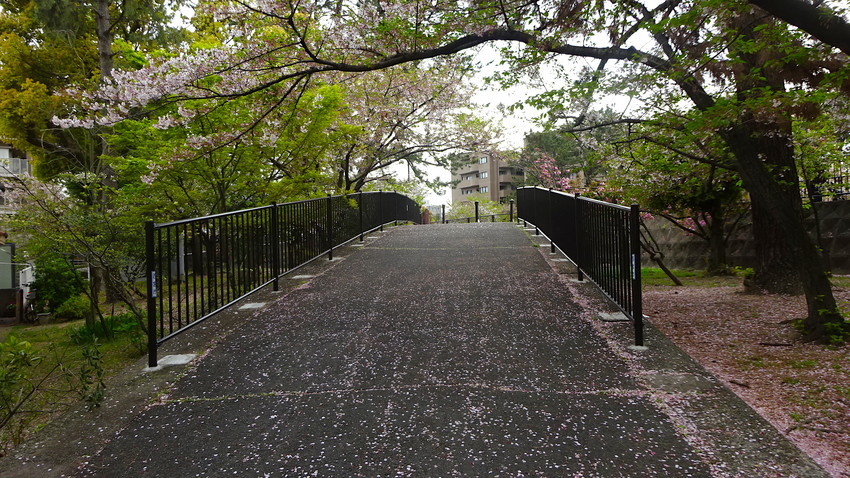 f:id:shioshiohida:20190417152348j:plain
