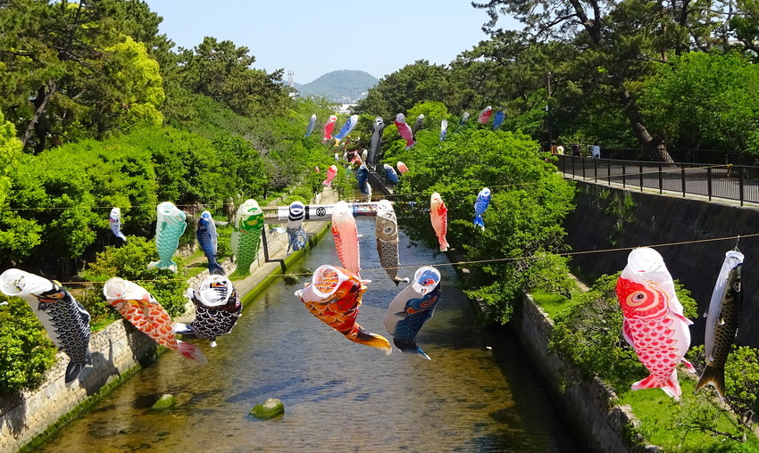 f:id:shioshiohida:20190504105053j:plain f:id:shioshiohida:20190504105053j:plain