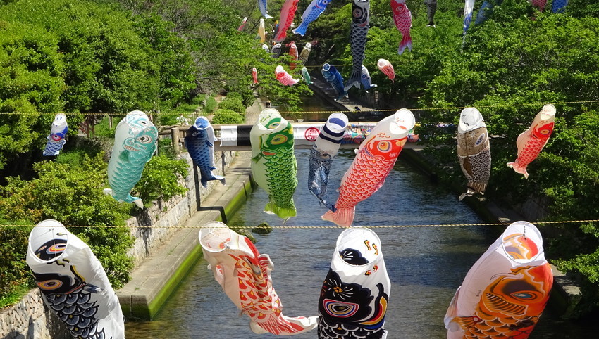 f:id:shioshiohida:20190504105113j:plain f:id:shioshiohida:20190504105113j:plain