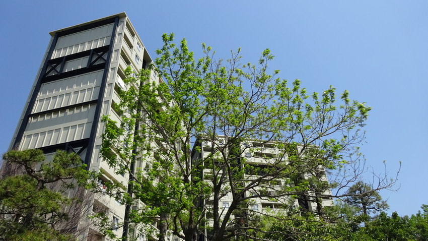 f:id:shioshiohida:20190504112444j:plain f:id:shioshiohida:20190504112444j:plain