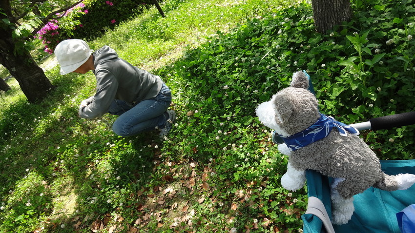 f:id:shioshiohida:20190505125901j:plain f:id:shioshiohida:20190505125901j:plain