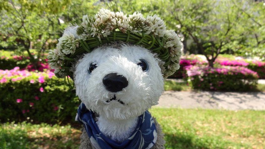 f:id:shioshiohida:20190505130429j:plain f:id:shioshiohida:20190505130429j:plain