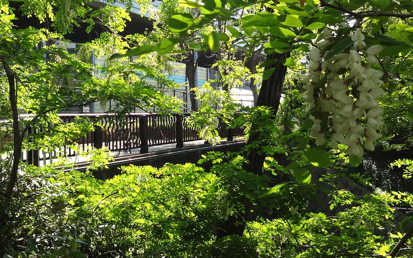 f:id:shioshiohida:20190505150054j:plain f:id:shioshiohida:20190505150054j:plain