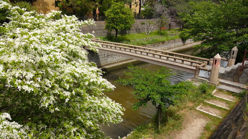 f:id:shioshiohida:20190521101825j:plain f:id:shioshiohida:20190521101825j:plain