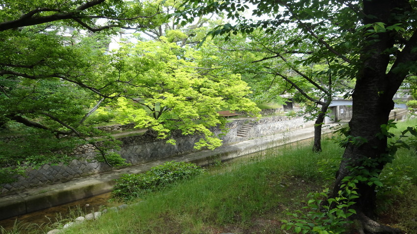 f:id:shioshiohida:20190521102032j:plain f:id:shioshiohida:20190521102032j:plain