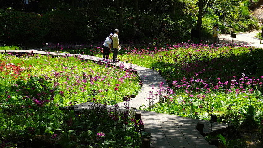 f:id:shioshiohida:20190524130600j:plain f:id:shioshiohida:20190524130600j:plain
