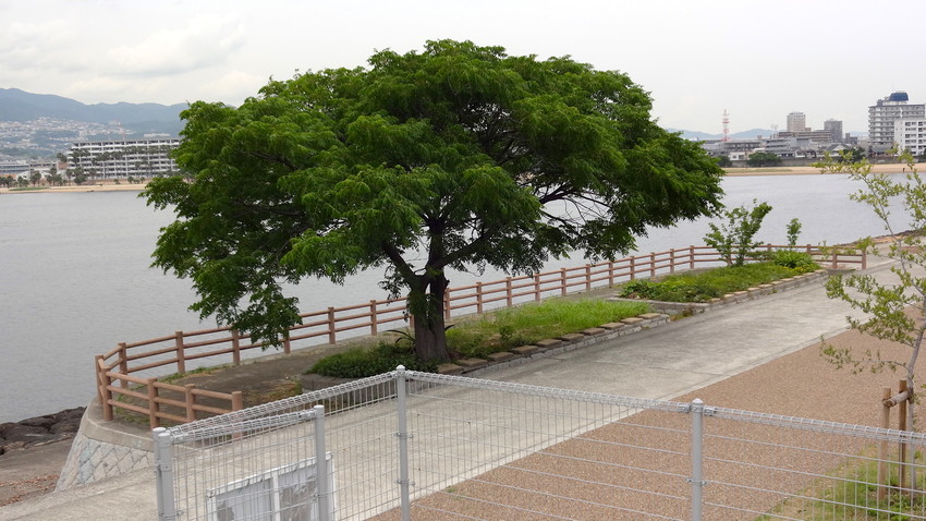 f:id:shioshiohida:20190618114640j:plain