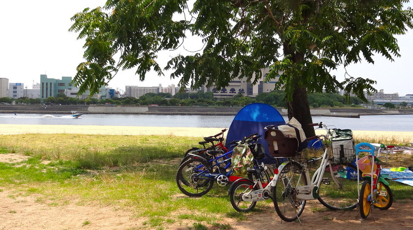 f:id:shioshiohida:20190622120717j:plain f:id:shioshiohida:20190622120717j:plain