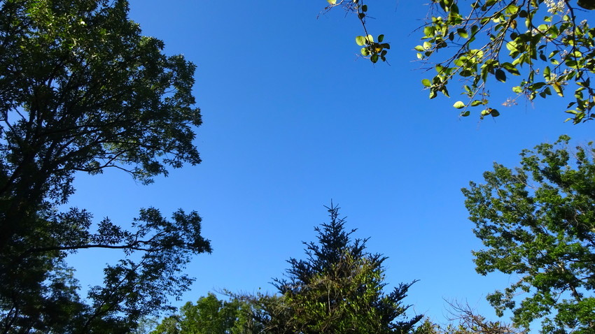 f:id:shioshiohida:20190625080002j:plain f:id:shioshiohida:20190625080002j:plain
