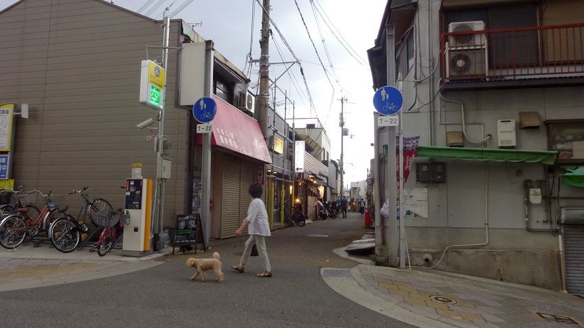 f:id:shioshiohida:20190705193924j:plain