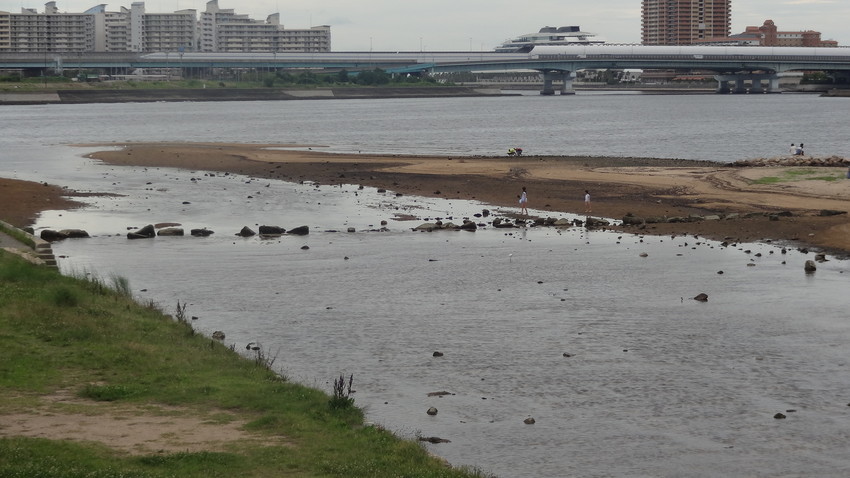 f:id:shioshiohida:20190721170623j:plain f:id:shioshiohida:20190721170623j:plain