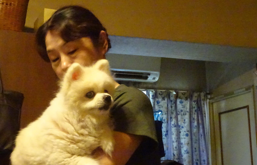 f:id:shioshiohida:20190726141341j:plain