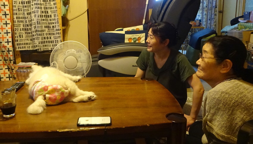 f:id:shioshiohida:20190726150454j:plain