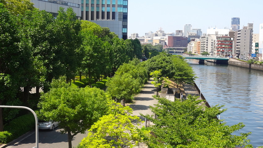 f:id:shioshiohida:20190730104254j:plain