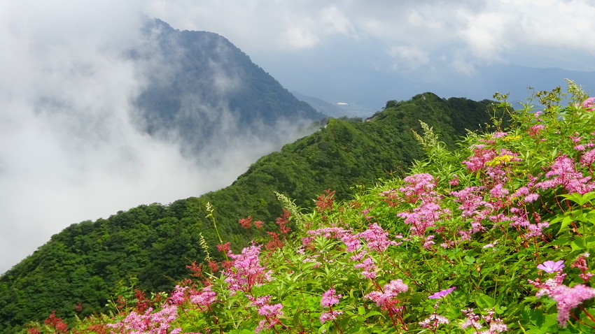 f:id:shioshiohida:20190809132537j:plain f:id:shioshiohida:20190809132537j:plain