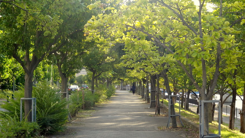 f:id:shioshiohida:20190813175549j:plain f:id:shioshiohida:20190813175549j:plain