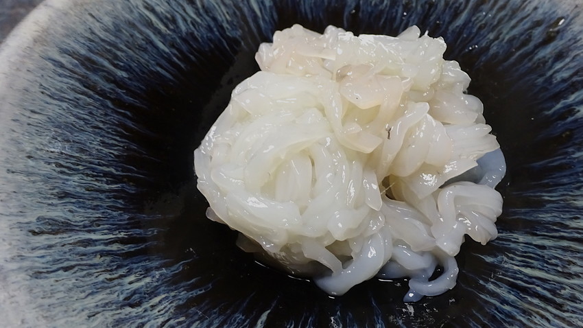 f:id:shioshiohida:20190814192039j:plain