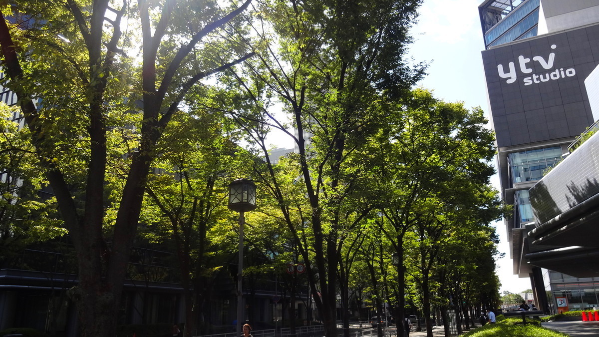 f:id:shioshiohida:20190919094529j:plain