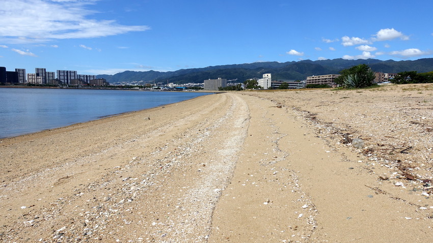 f:id:shioshiohida:20190925110039j:plain f:id:shioshiohida:20190925110039j:plain