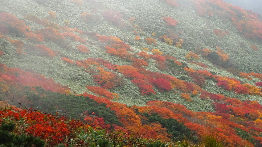 f:id:shioshiohida:20191001154344j:plain