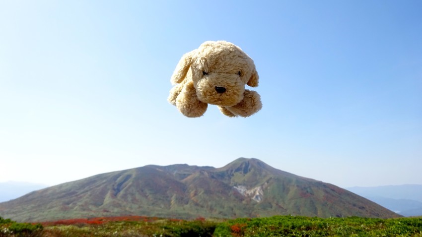 f:id:shioshiohida:20191002115549j:plain f:id:shioshiohida:20191002115549j:plain