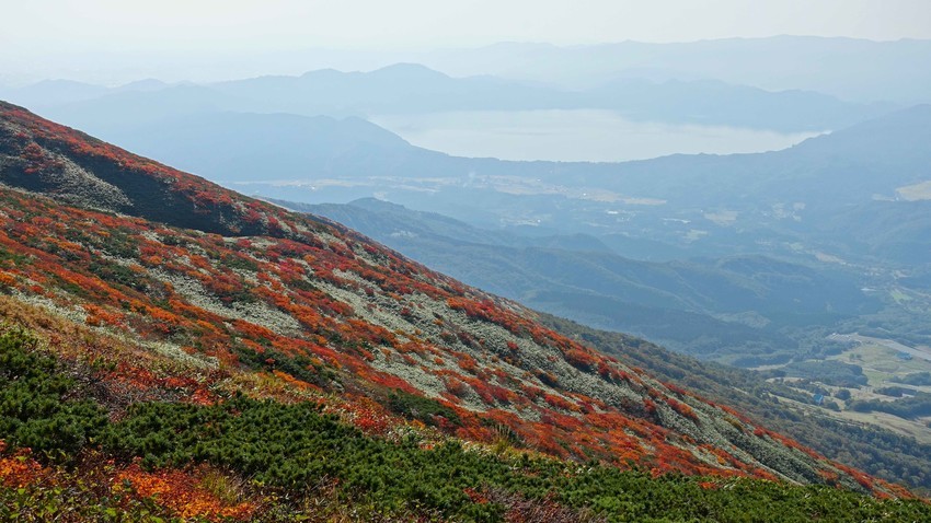 f:id:shioshiohida:20191002135633j:plain f:id:shioshiohida:20191002135633j:plain