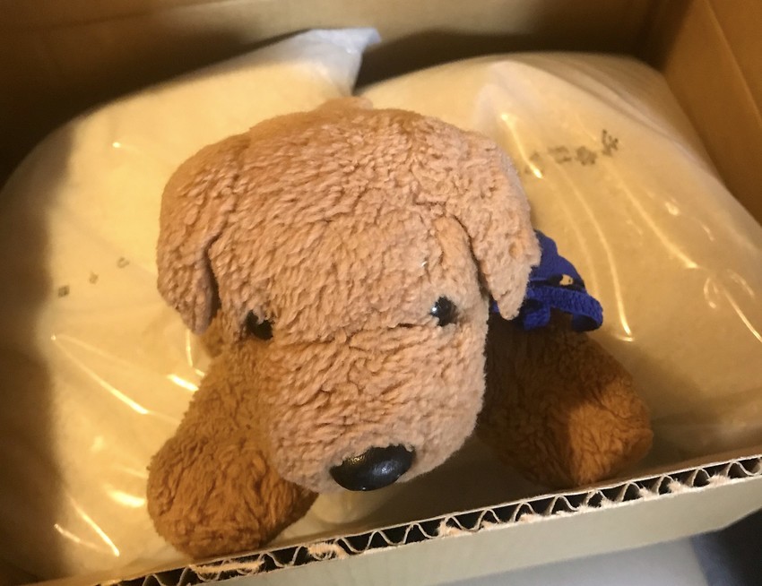 f:id:shioshiohida:20191016205416j:plain f:id:shioshiohida:20191016205416j:plain