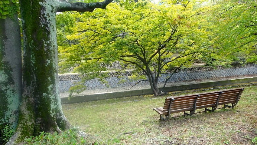 f:id:shioshiohida:20191022114235j:plain f:id:shioshiohida:20191022114235j:plain