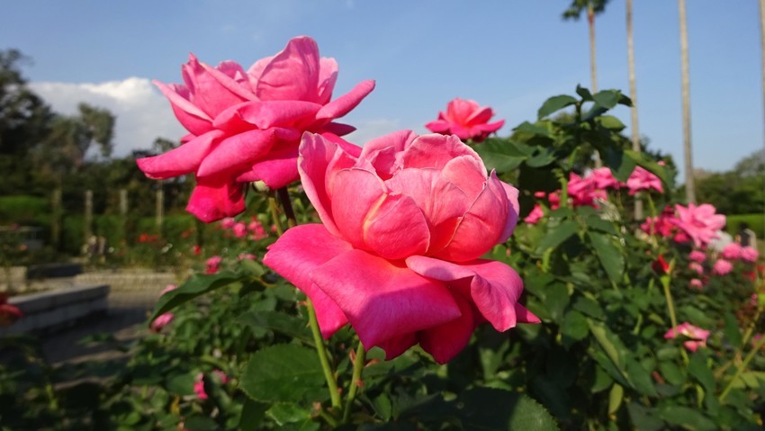 f:id:shioshiohida:20191027162537j:plain f:id:shioshiohida:20191027162537j:plain