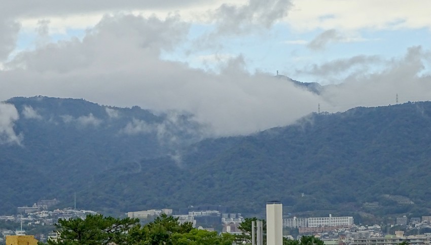 f:id:shioshiohida:20191029145102j:plain f:id:shioshiohida:20191029145102j:plain