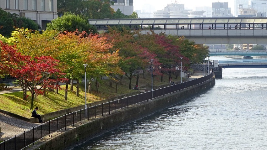 f:id:shioshiohida:20191030131021j:plain f:id:shioshiohida:20191030131021j:plain