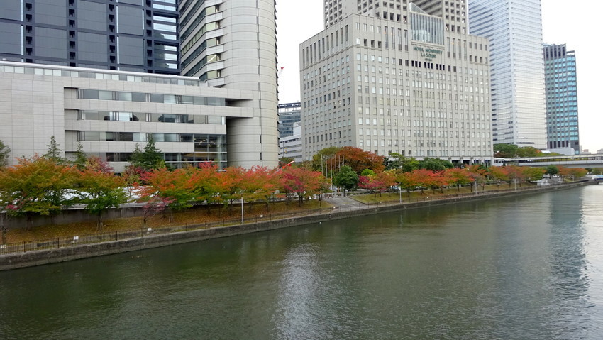 f:id:shioshiohida:20191107170413j:plain f:id:shioshiohida:20191107170413j:plain