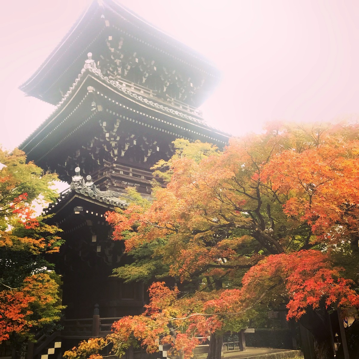 f:id:shioshiohida:20191111095142j:plain