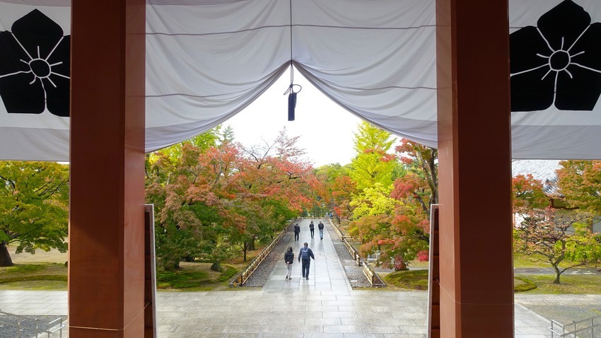 f:id:shioshiohida:20191111114349j:plain